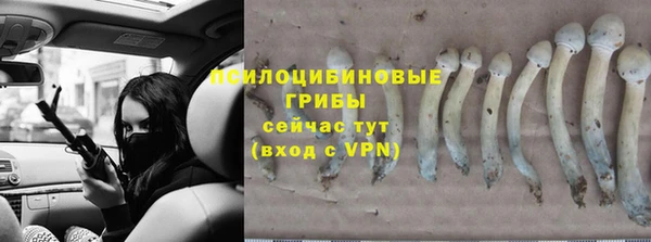 ГАЛЛЮЦИНОГЕННЫЕ ГРИБЫ Алексин