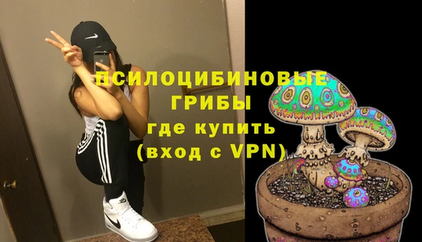 ГАЛЛЮЦИНОГЕННЫЕ ГРИБЫ Алексин
