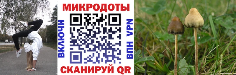 Галлюциногенные грибы ЛСД  Пикалёво 